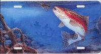 Rainbow Trout Fish License Plate