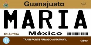 Mexico Guanajuato Photo License Plate