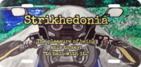 Strikhedonia Motorcycle #2 Design Metal License Plate