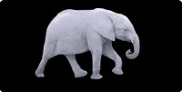 White Elephant Centered Photo License Plate