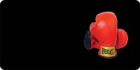 Boxing Gloves Offset On Black Photo License Plate
