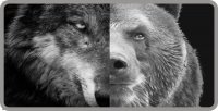 Half Wolf Half Bear Photo License Plate