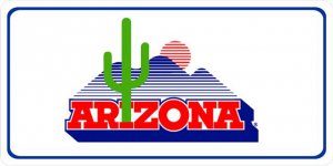 Arizona Cactus Logo Photo License Plate
