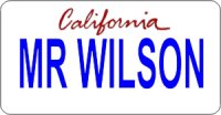 Design It Yourself California State Look-Alike Bicycle Plate