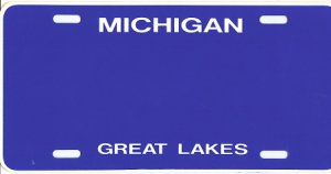 Design It Yourself Michigan State Look-Alike Plate #3