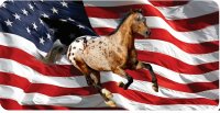 Appaloosa Horse On U.S. Flag Photo License Plate