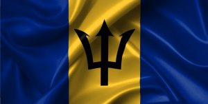 Barbados Wavy Flag Photo License Plate