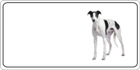 Greyhound Dog Photo License Plate