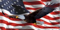 Soaring Eagle On Wavy U.S. Flag Photo License Plate