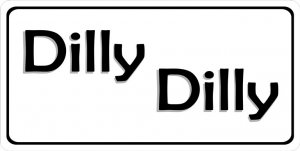 Dilly Dilly Photo LICENSE PLATE