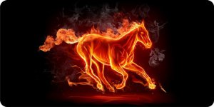 Flaming Horse Photo License Plate