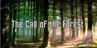 Call Of The Forest Photo License Plate