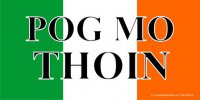 Pog Mo Thoin on Irish Flag Photo License Plate