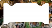 Wild Cats Thin Style License Plate Frame