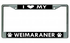 I Heart My Weimaraner Dog Chrome LICENSE PLATE Frame
