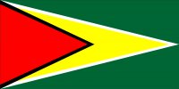 Guyana Flag Photo License Plate