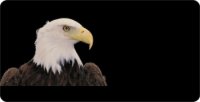 Bald Eagle Offset On Black Photo License Plate