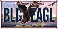 American Expedition BLD EAGL Photo License Plate