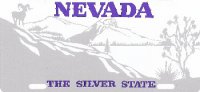 Design It Yourself Custom Nevada State Look-Alike Plate