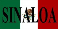 Mexico Sinaloa Photo License Plate