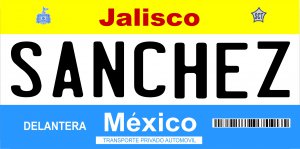 Mexico Jalisco Photo License Plate