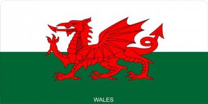Wales Flag Photo License Plate
