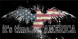 It's Time America FIREWORKS Eagle With United States Flag Photo License Plate