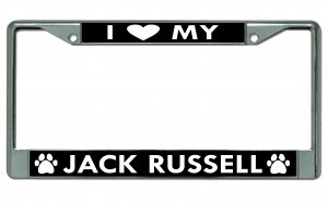 I Heart My Jack Russell Dog Chrome License Plate FRAME