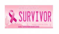 Arizona Breast Cancer Survivor Photo License Plate
