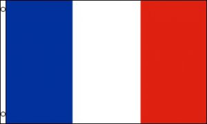 France Polyester Flag