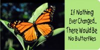 If Nothing Ever Changed Butterfly Photo License Plate