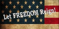 Let Freedom Reign On American Flag Photo License Plate