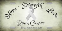 Brain Cancer Ribbon Metal License Plate