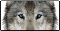 Lone Wolf Blue Eyes Photo License Plate