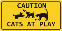Caution Cats At Play Photo License Plate