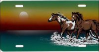 Two Horses by Ocean License Plate