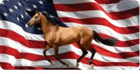 Quarter Horse On U.S. Flag Photo License Plate
