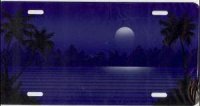 Dark Blue Palm Scene Airbrush License Plate