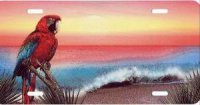 Parrot by Ocean Airbrush License Plate