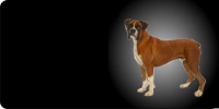 Boxer Dog Photo License Plate