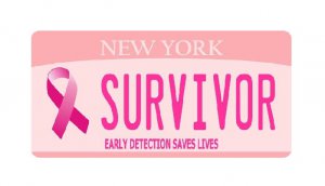 New York Breast Cancer Survivor Photo License Plate