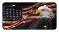 American Flag And Eagle Unbreakable Plastic License Plate
