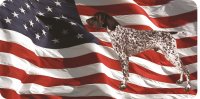 German Shorthaired Pointer On U.S. Flag Photo License Plate