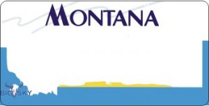 Design It Yourself Custom Montana State Look-Alike Plate #2