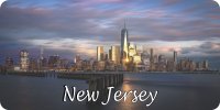New Jersey City Scene Photo License Plate
