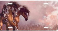 Horses and Clouds Airbrush License Plate