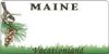 Maine License Plates & Frames
