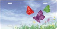Butterflies Offset in Field Airbrush License Plate