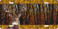 Offset Buck On Fall Wood Scene Airbrush License Plate