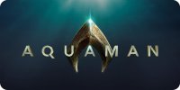 Aquaman Script With Logo Photo License Plate